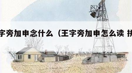 王字旁加申念什么（王字旁加申怎么读 拼音）