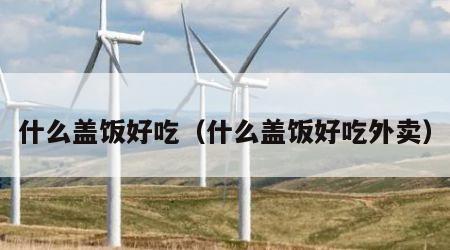 什么盖饭好吃（什么盖饭好吃外卖）