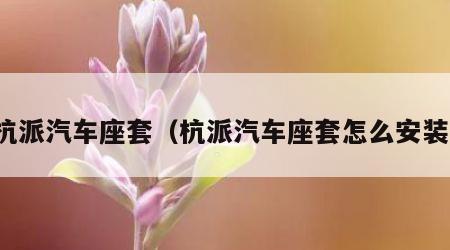 杭派汽车座套（杭派汽车座套怎么安装）