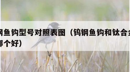 钨钢鱼钩型号对照表图（钨钢鱼钩和钛合金鱼钩哪个好）