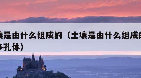 土壤是由什么组成的（土壤是由什么组成的疏松多孔体）