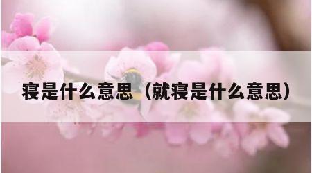 寝是什么意思（就寝是什么意思）