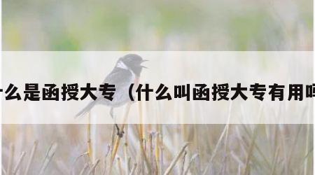 什么是函授大专（什么叫函授大专有用吗）