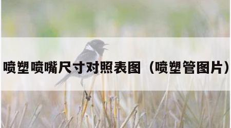 喷塑喷嘴尺寸对照表图（喷塑管图片）