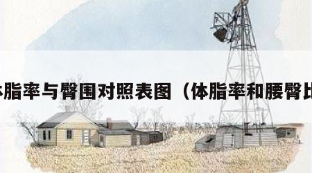 体脂率与臀围对照表图（体脂率和腰臀比）