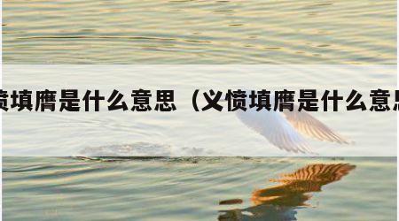 义愤填膺是什么意思（义愤填膺是什么意思图文）