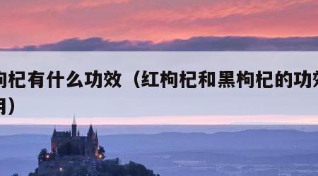 红枸杞有什么功效（红枸杞和黑枸杞的功效与作用）