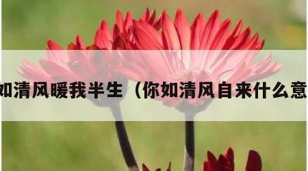 你如清风暖我半生（你如清风自来什么意思）