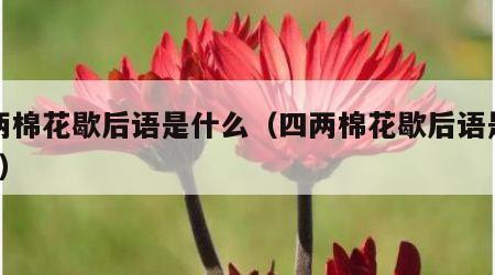 四两棉花歇后语是什么（四两棉花歇后语是什么?）