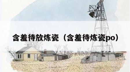含羞待放炼瓷（含羞待炼瓷po）