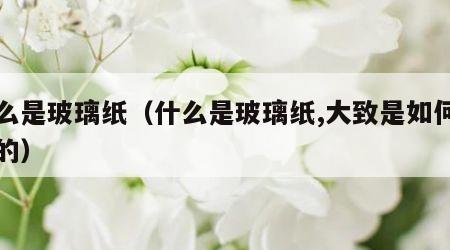 什么是玻璃纸（什么是玻璃纸,大致是如何制造的）