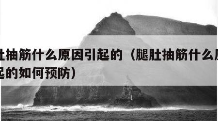 腿肚抽筋什么原因引起的（腿肚抽筋什么原因引起的如何预防）