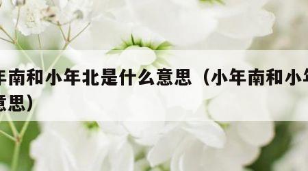小年南和小年北是什么意思（小年南和小年北啥意思）