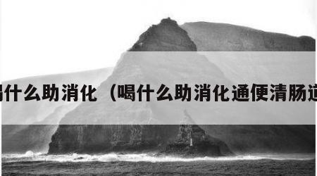 喝什么助消化（喝什么助消化通便清肠道）