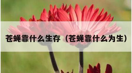 苍蝇靠什么生存（苍蝇靠什么为生）