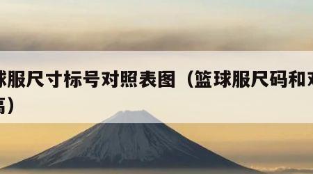 篮球服尺寸标号对照表图（篮球服尺码和对应身高）