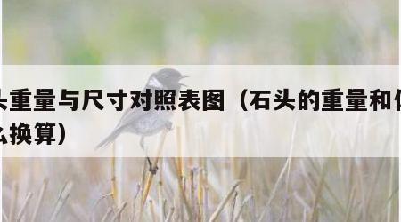石头重量与尺寸对照表图（石头的重量和体积怎么换算）