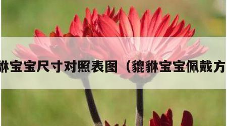 貔貅宝宝尺寸对照表图（貔貅宝宝佩戴方法）
