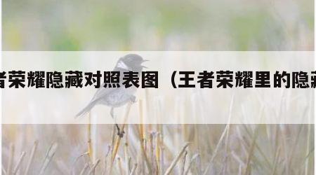 王者荣耀隐藏对照表图（王者荣耀里的隐藏功能）