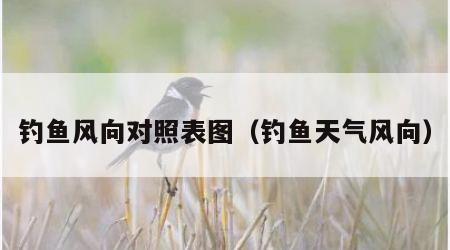 钓鱼风向对照表图（钓鱼天气风向）