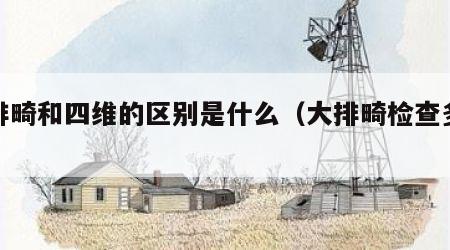 大排畸和四维的区别是什么（大排畸检查多少钱）