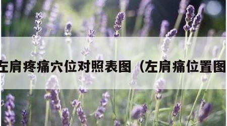 左肩疼痛穴位对照表图（左肩痛位置图）