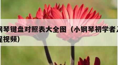 小钢琴键盘对照表大全图（小钢琴初学者入门教程视频）