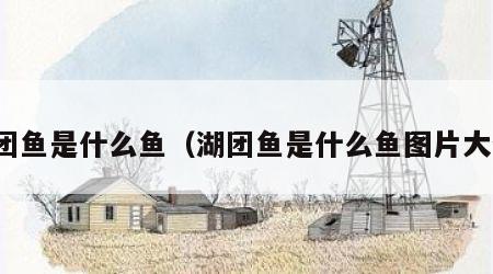 湖团鱼是什么鱼（湖团鱼是什么鱼图片大全）