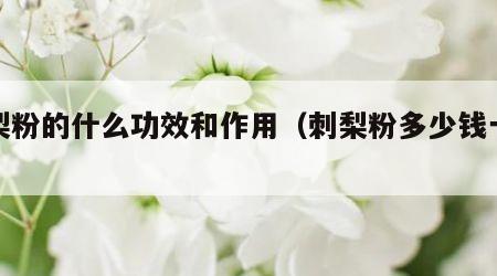 刺梨粉的什么功效和作用（刺梨粉多少钱一盒）