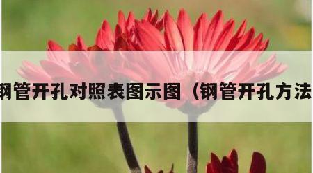 钢管开孔对照表图示图（钢管开孔方法）