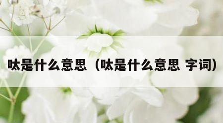 呔是什么意思（呔是什么意思 字词）