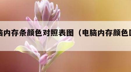 电脑内存条颜色对照表图（电脑内存颜色区别）