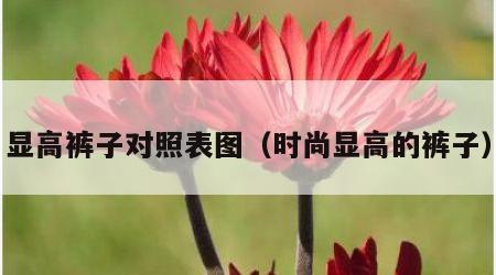 显高裤子对照表图（时尚显高的裤子）