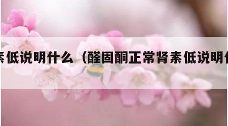 肾素低说明什么（醛固酮正常肾素低说明什么）