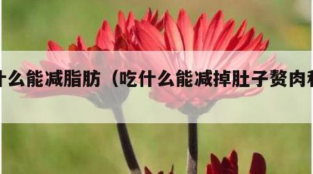 吃什么能减脂肪（吃什么能减掉肚子赘肉和脂肪）