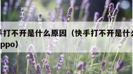 快手打不开是什么原因（快手打不开是什么原因oppo）