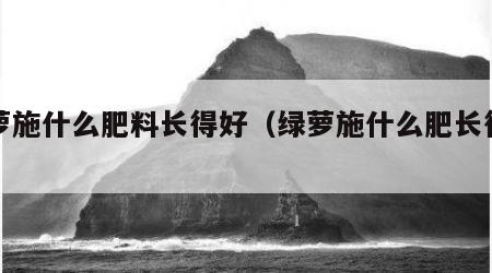 绿萝施什么肥料长得好（绿萝施什么肥长得壮）