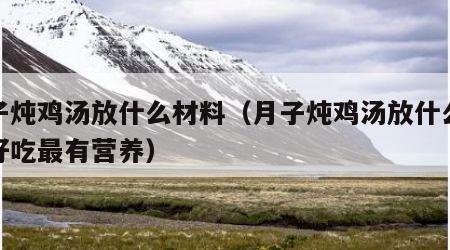 月子炖鸡汤放什么材料（月子炖鸡汤放什么材料好吃最有营养）