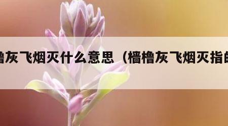 樯橹灰飞烟灭什么意思（樯橹灰飞烟灭指的是谁）