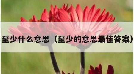 至少什么意思（至少的意思最佳答案）