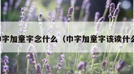 巾字加童字念什么（巾字加童字该读什么）