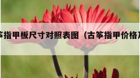 古筝指甲板尺寸对照表图（古筝指甲价格及图片）