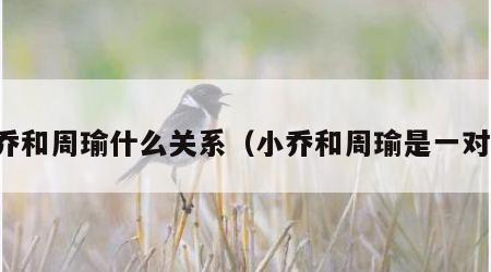小乔和周瑜什么关系（小乔和周瑜是一对吗）