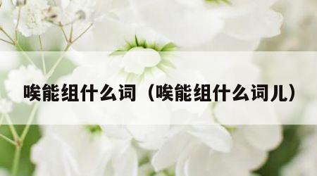 唉能组什么词（唉能组什么词儿）