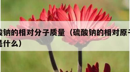 硫酸钠的相对分子质量（硫酸钠的相对原子质量是什么）