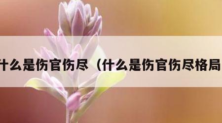 什么是伤官伤尽（什么是伤官伤尽格局）