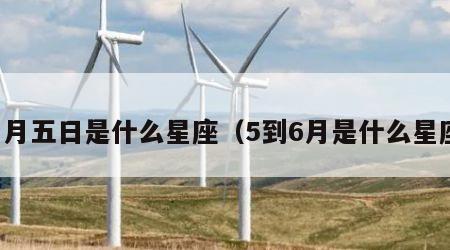 一月五日是什么星座（5到6月是什么星座）