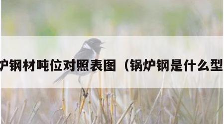 锅炉钢材吨位对照表图（锅炉钢是什么型号）