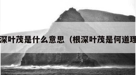 根深叶茂是什么意思（根深叶茂是何道理?）