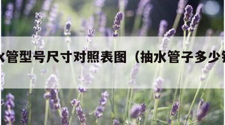 抽水管型号尺寸对照表图（抽水管子多少钱一米）